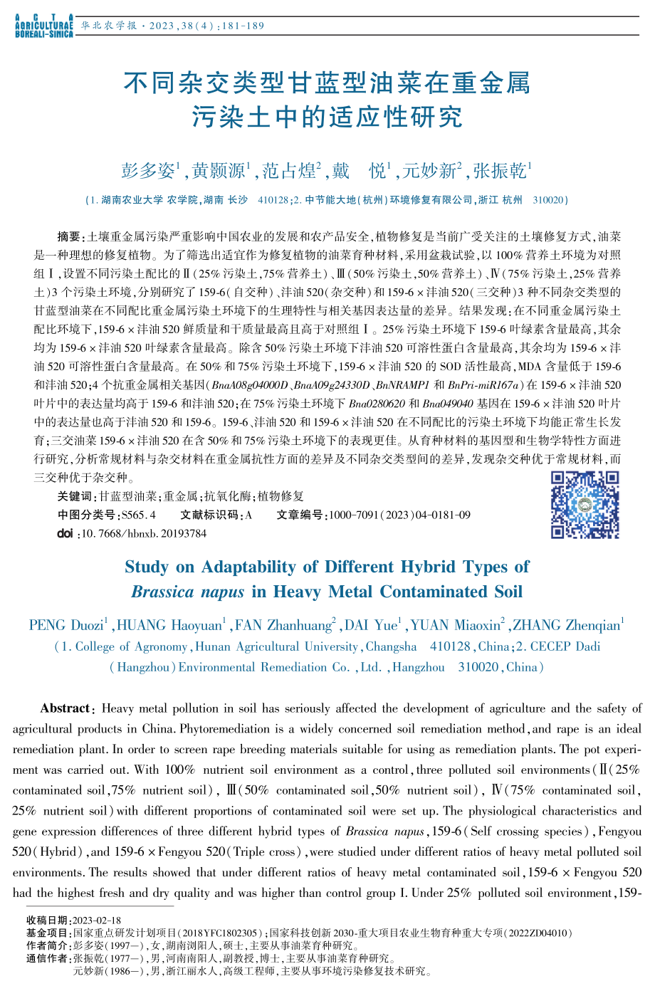 不同杂交类型甘蓝型油菜在重金属污染土中的适应性研究.pdf_第1页