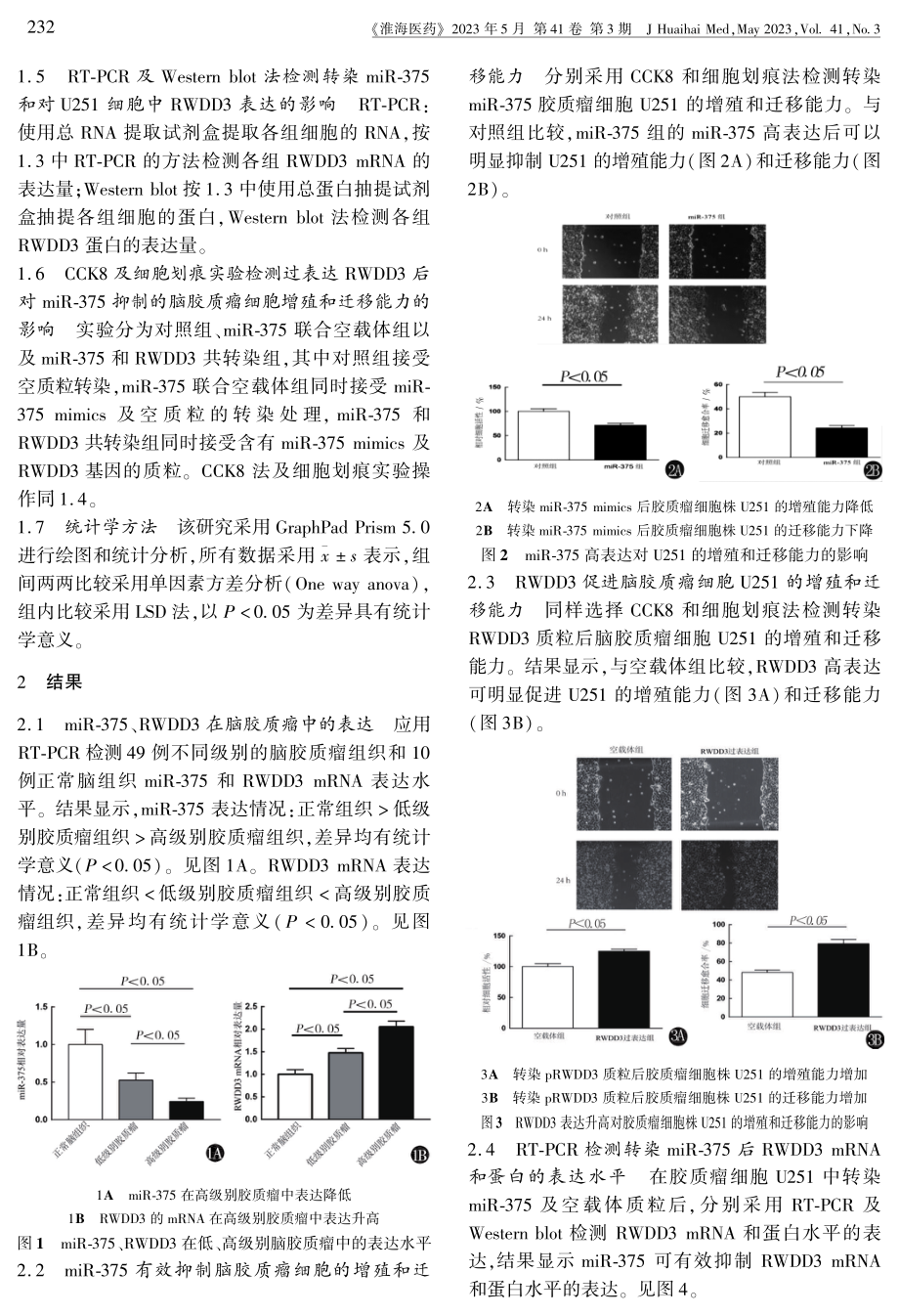 miR-375调控RWDD3参与脑胶质母细胞瘤U251细胞增殖的机制研究.pdf_第3页