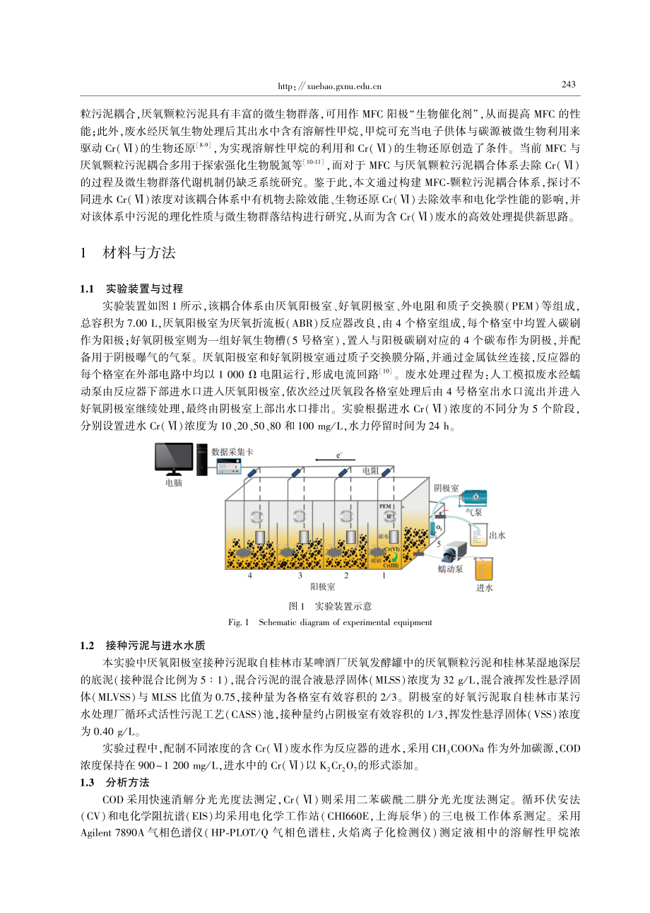 Cr%28Ⅵ%29浓度对MFC-颗粒污泥耦合体系运行效能及微生态的影响.pdf_第2页