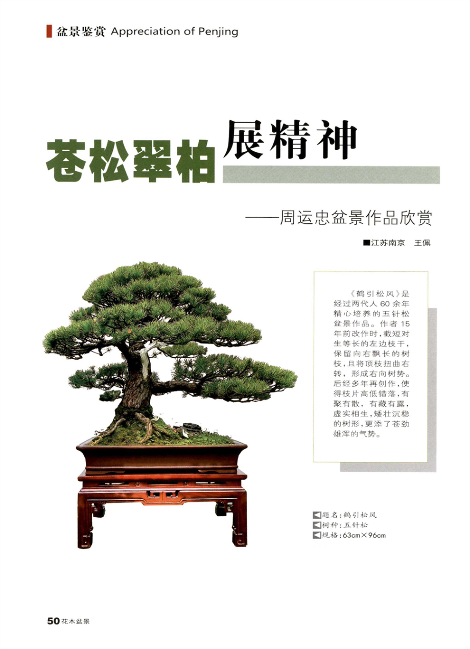 苍松翠柏展精神——周运忠盆景作品欣赏.pdf_第1页