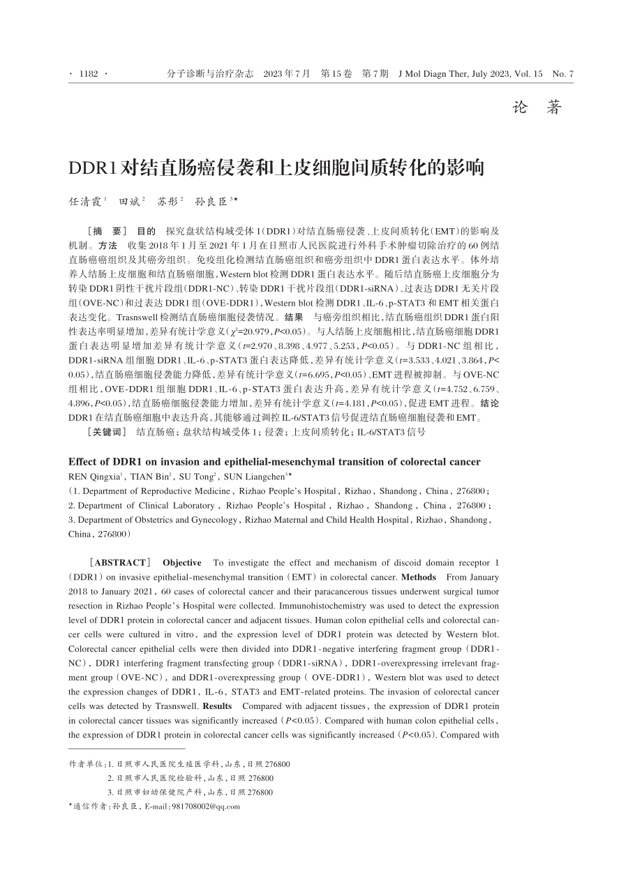 DDR1对结直肠癌侵袭和上皮细胞间质转化的影响.pdf_第1页