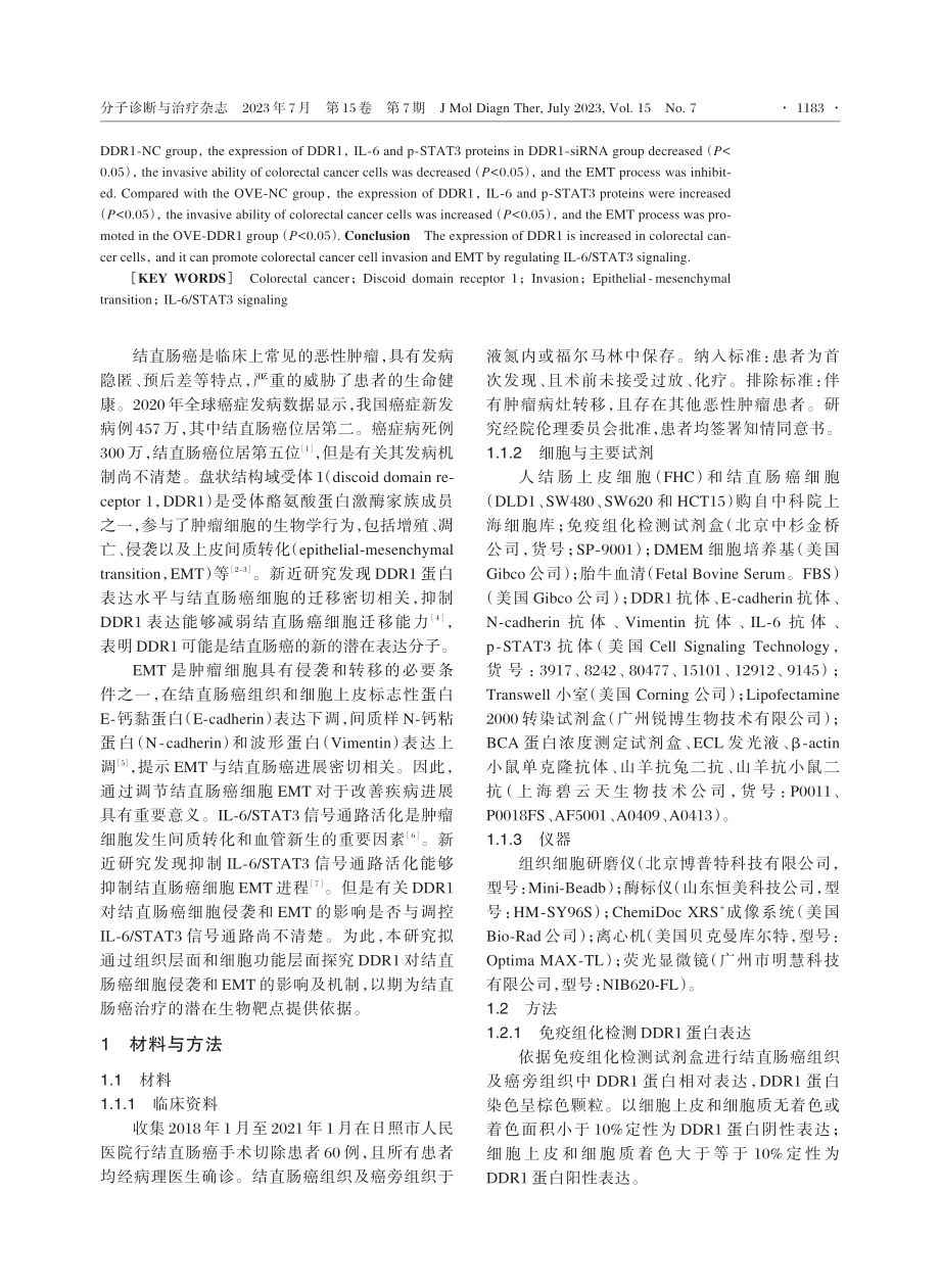 DDR1对结直肠癌侵袭和上皮细胞间质转化的影响.pdf_第2页