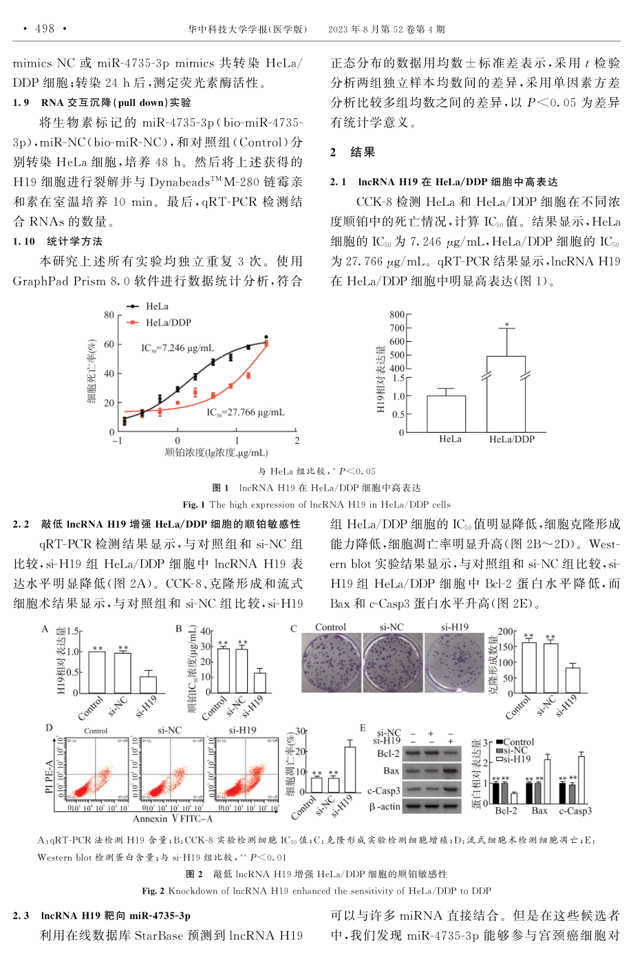 lncRNA H19靶向miR-4735-3p激活NF-κB信号通路调控宫颈癌顺铂耐药.pdf_第3页