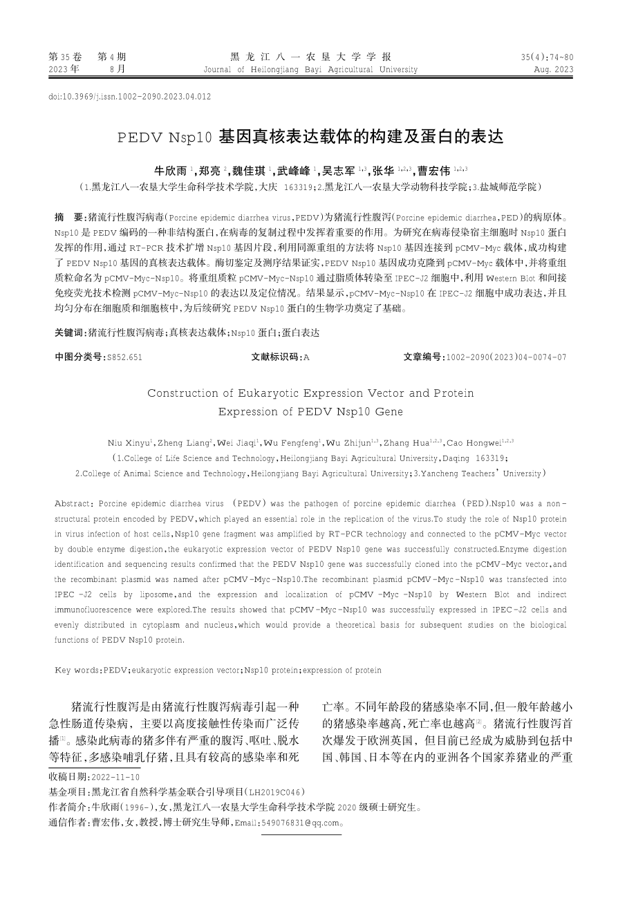 PEDV Nsp10基因真核表达载体的构建及蛋白的表达.pdf_第1页