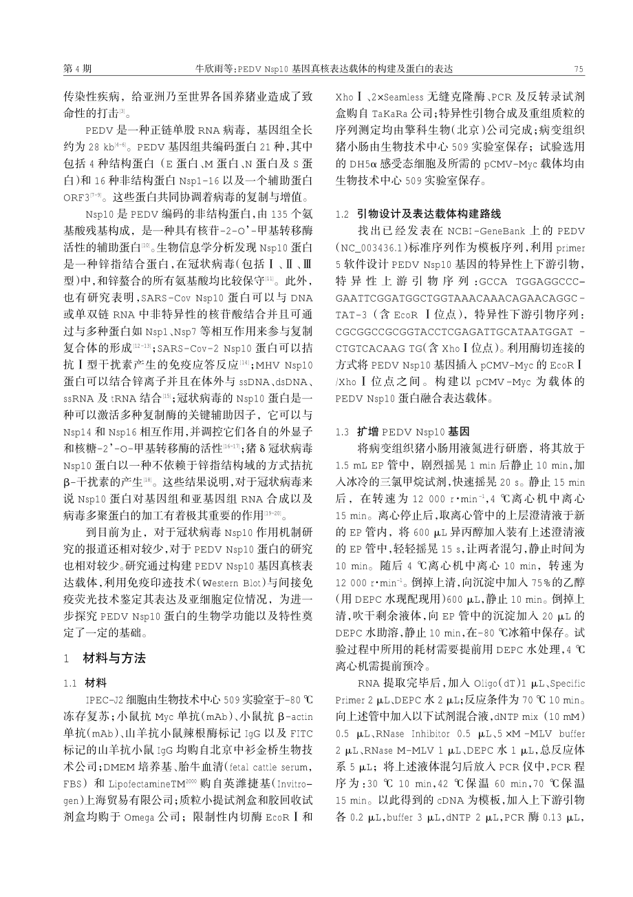 PEDV Nsp10基因真核表达载体的构建及蛋白的表达.pdf_第2页