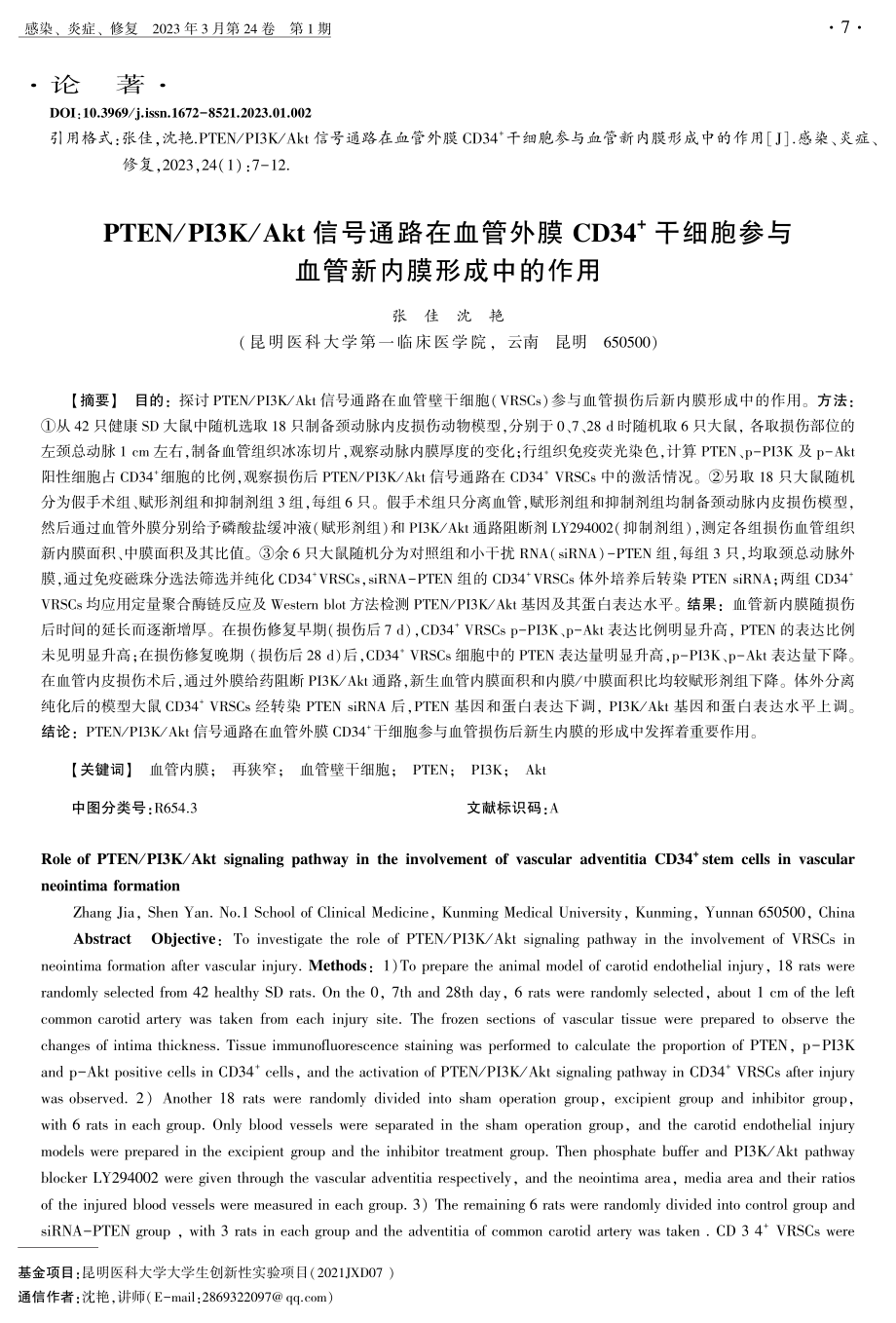 PTEN_PI3K_Akt信号通路在血管外膜CD34%2B干细胞参与血管新内膜形成中的作用.pdf_第1页