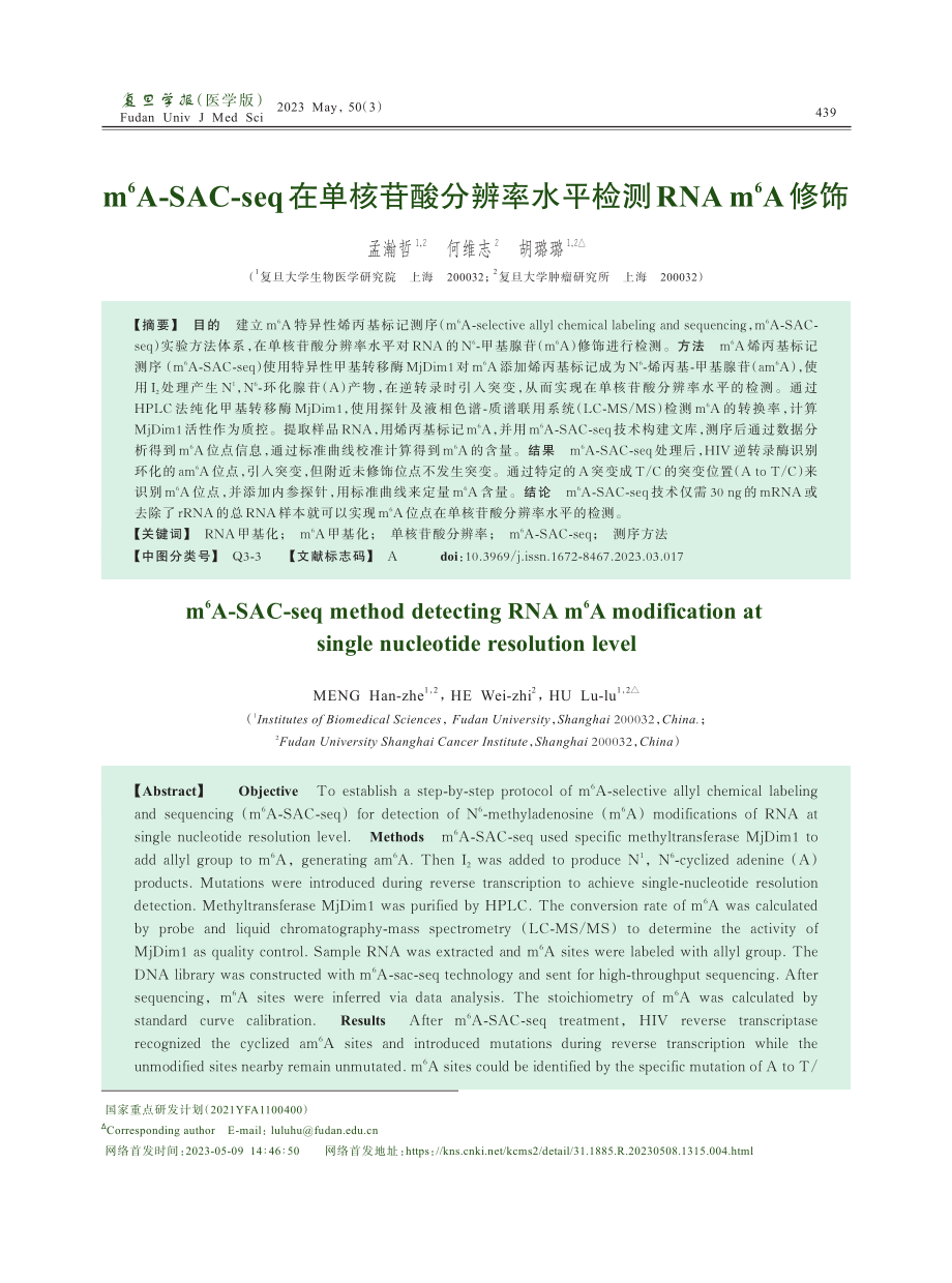 m6A-SAC-seq在单核苷酸分辨率水平检测RNAm6A修饰.pdf_第1页