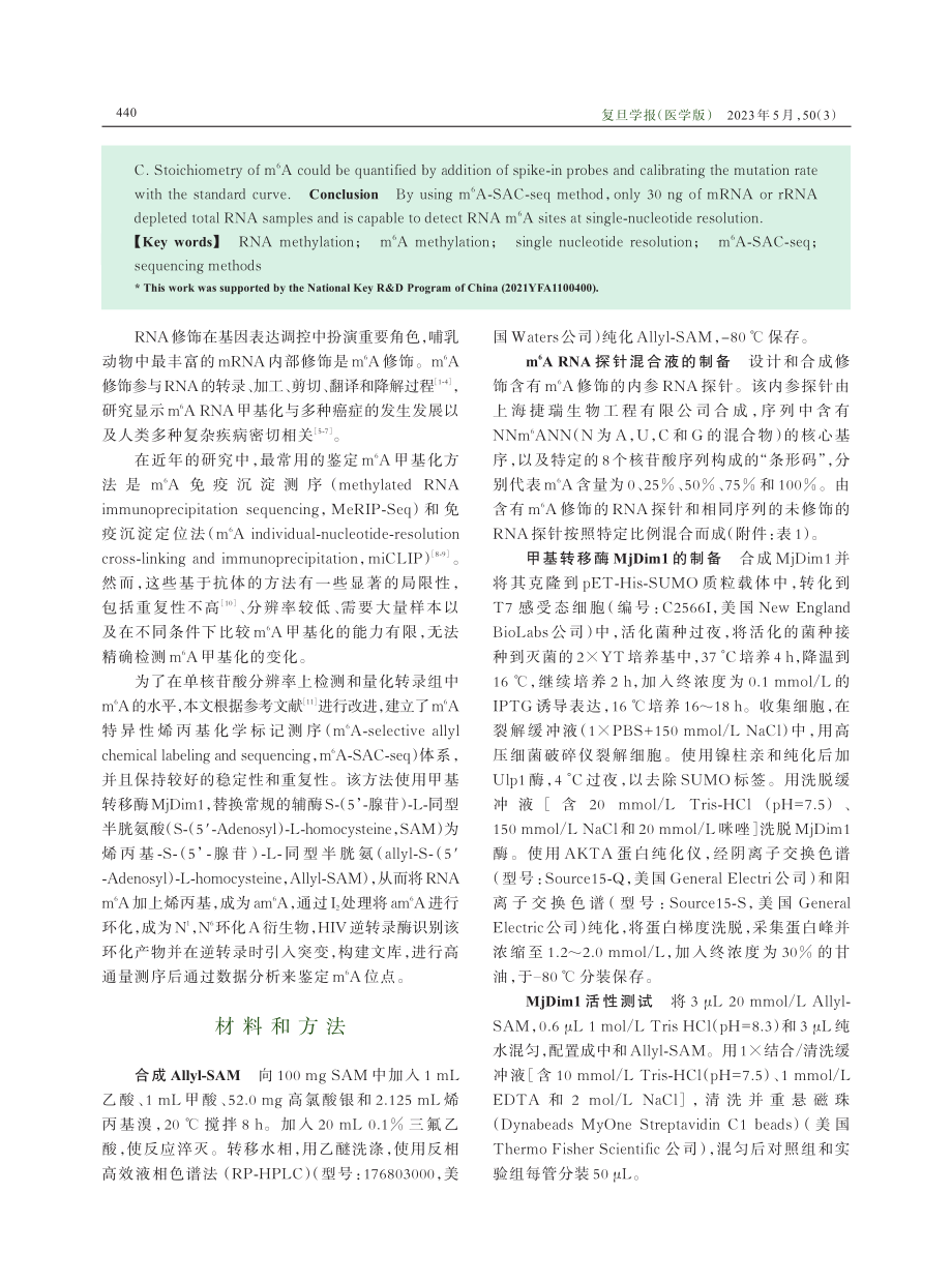 m6A-SAC-seq在单核苷酸分辨率水平检测RNAm6A修饰.pdf_第2页