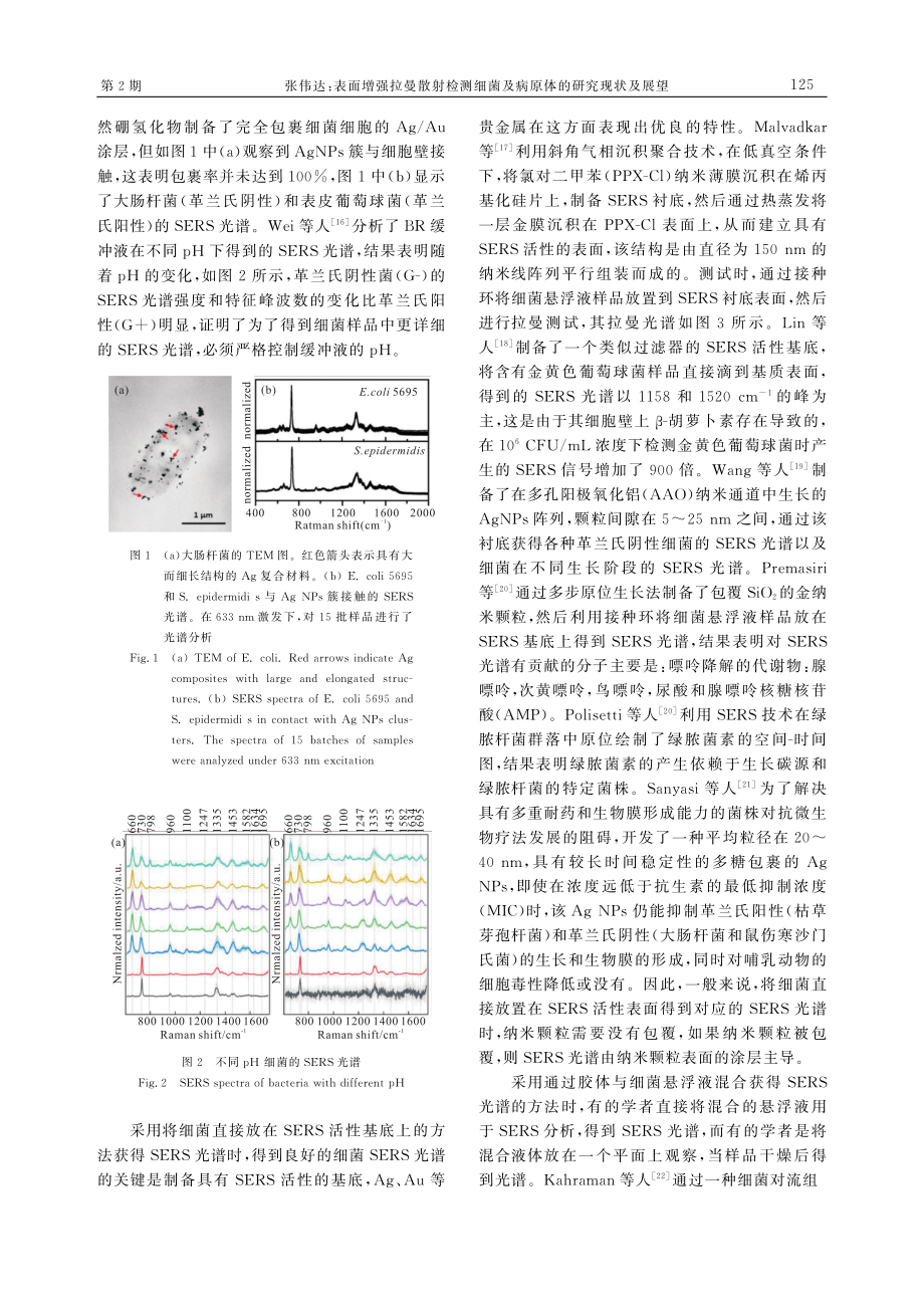 表面增强拉曼散射检测细菌及病原体的研究现状及展望.pdf_第3页