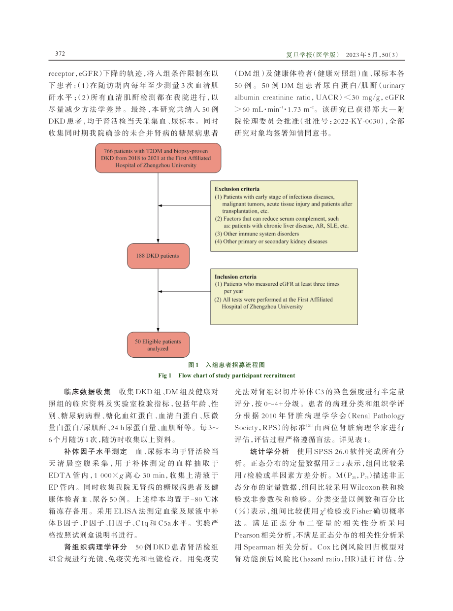 补体旁路途径与经典途径活化在糖尿病肾病进展中的作用.pdf_第3页