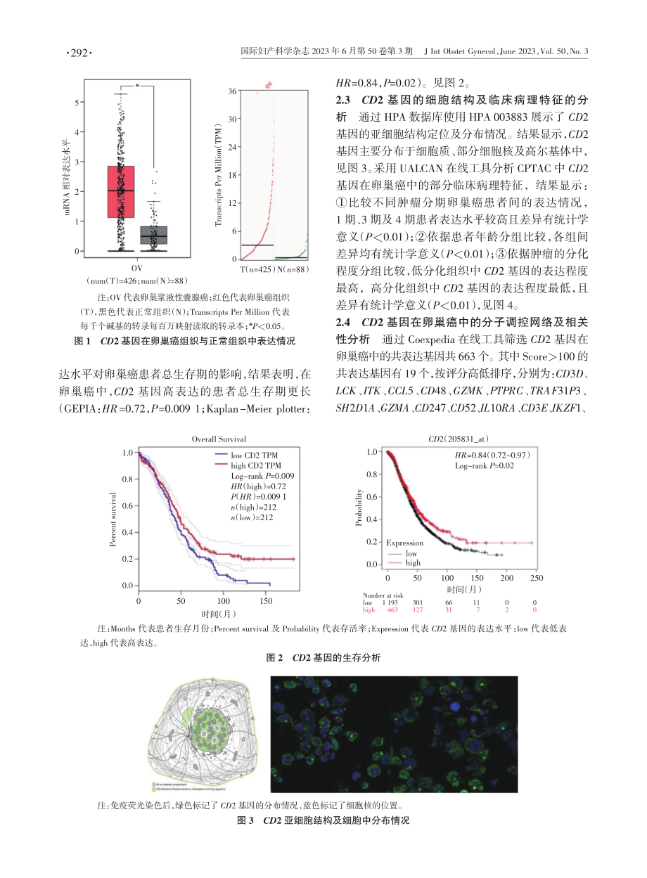 CD2基因对卵巢癌肿瘤微环境中免疫浸润的作用.pdf_第3页