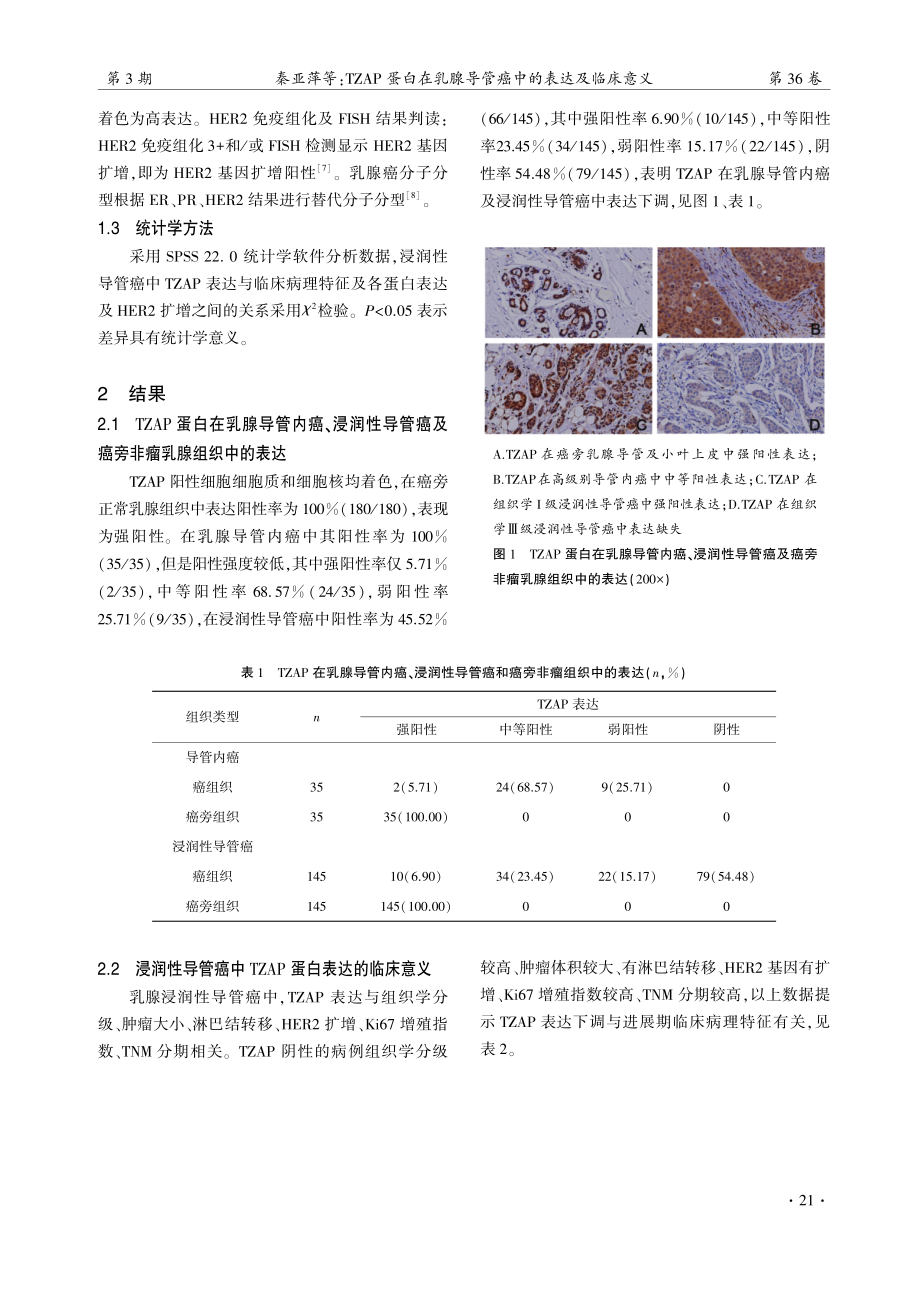 TZAP蛋白在乳腺导管癌中的表达及临床意义.pdf_第3页