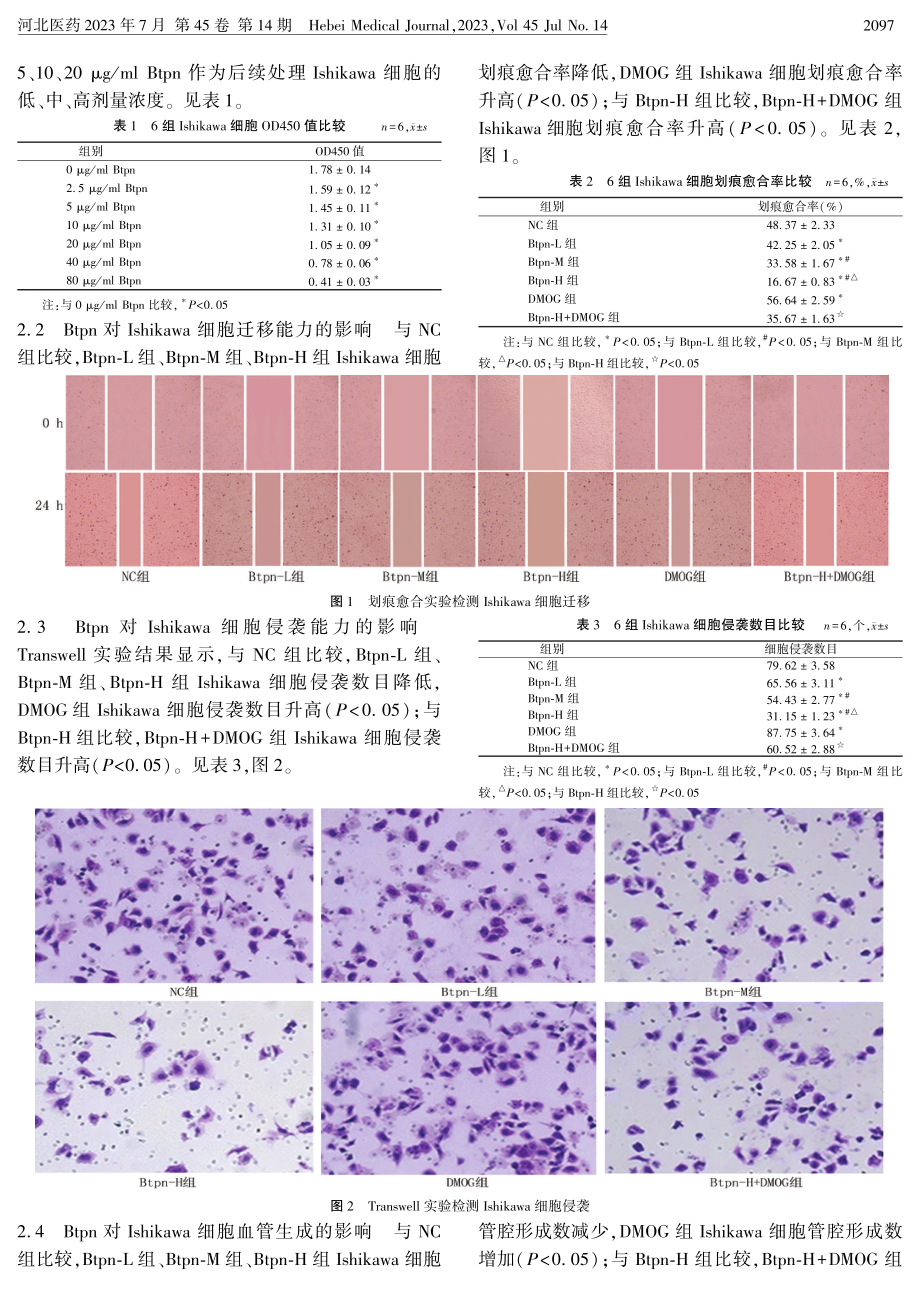 布托啡诺调节HIF-1α_VEGF信号通路对子宫内膜癌细胞迁移、侵袭和血管生成的影响.pdf_第3页