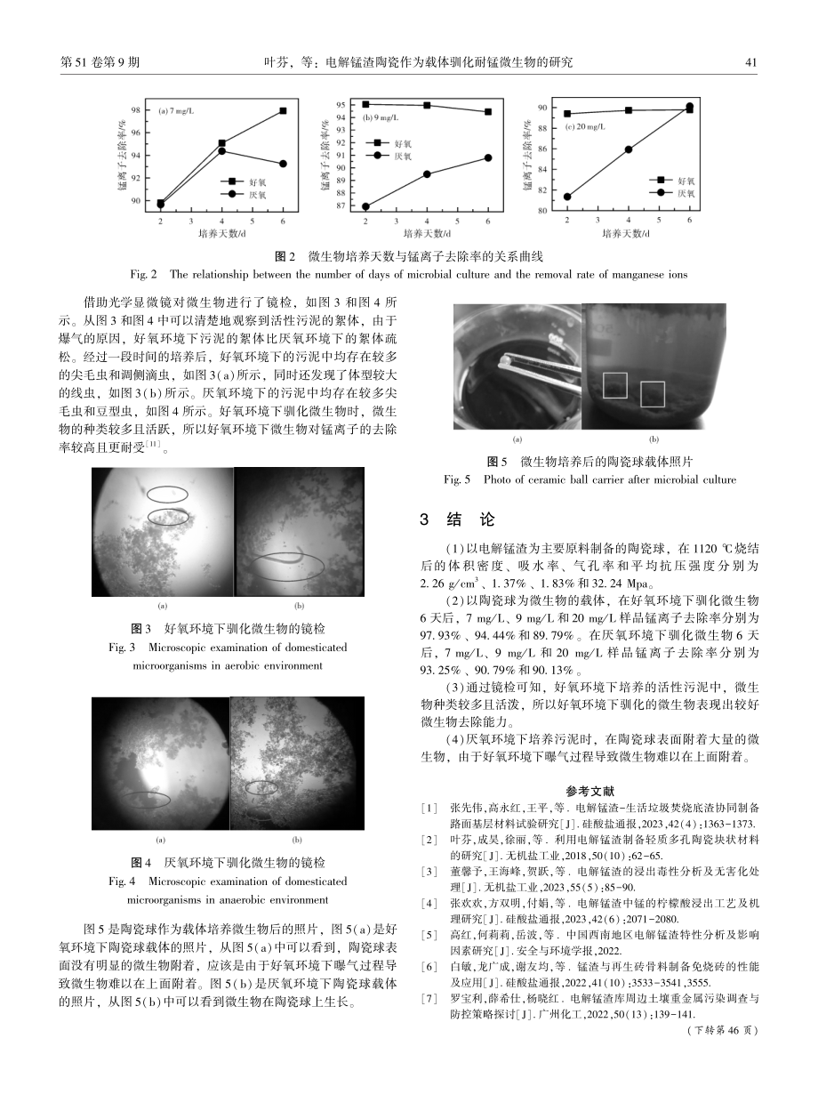 电解锰渣陶瓷作为载体驯化耐锰微生物的研究.pdf_第3页