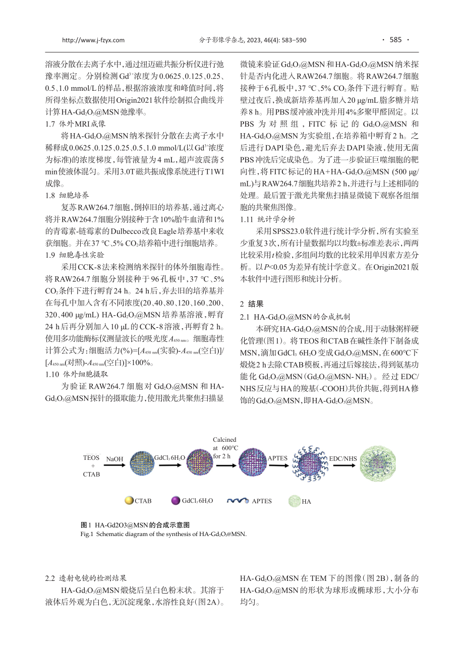 磁共振成像纳米分子探针透明质酸-Gd_%282%29O_%283%29%40MSN对动脉粥样硬化的靶向识别.pdf_第3页