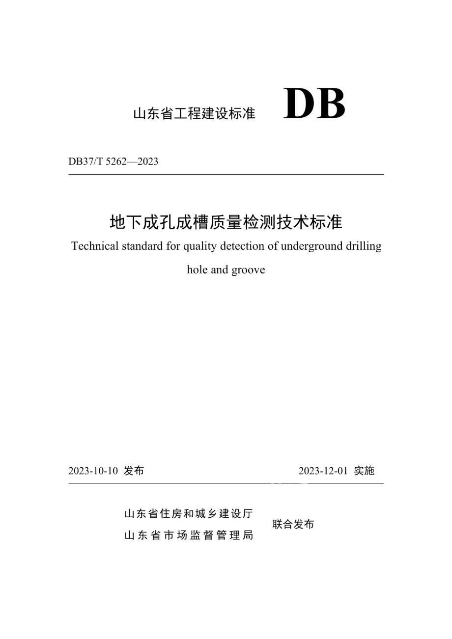 DB37T 5262-2023《地下成孔成槽质量检测技术标准》.pdf_第1页