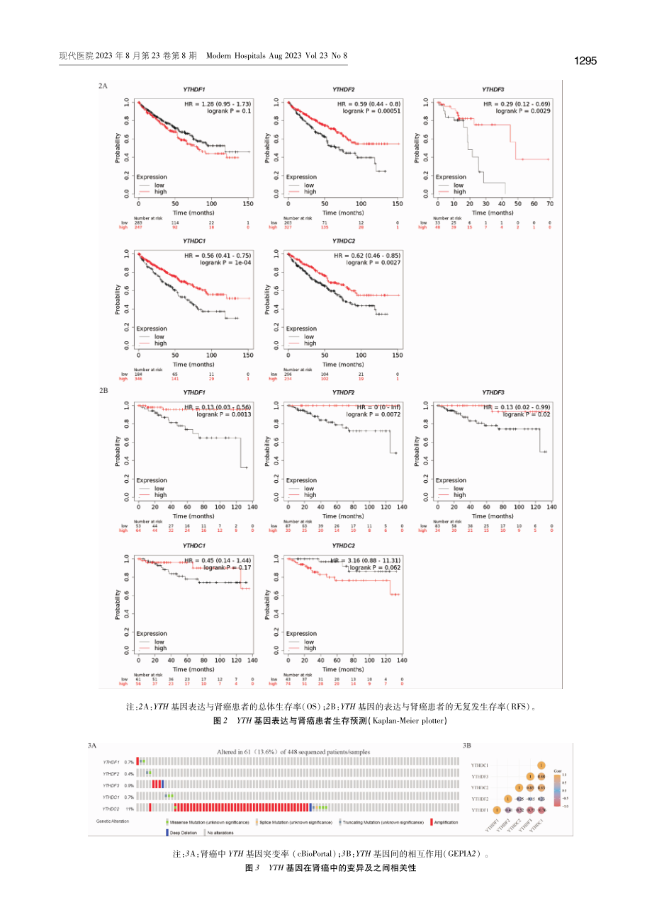 YTH基因家族在肾癌中的表达和预后价值.pdf_第3页