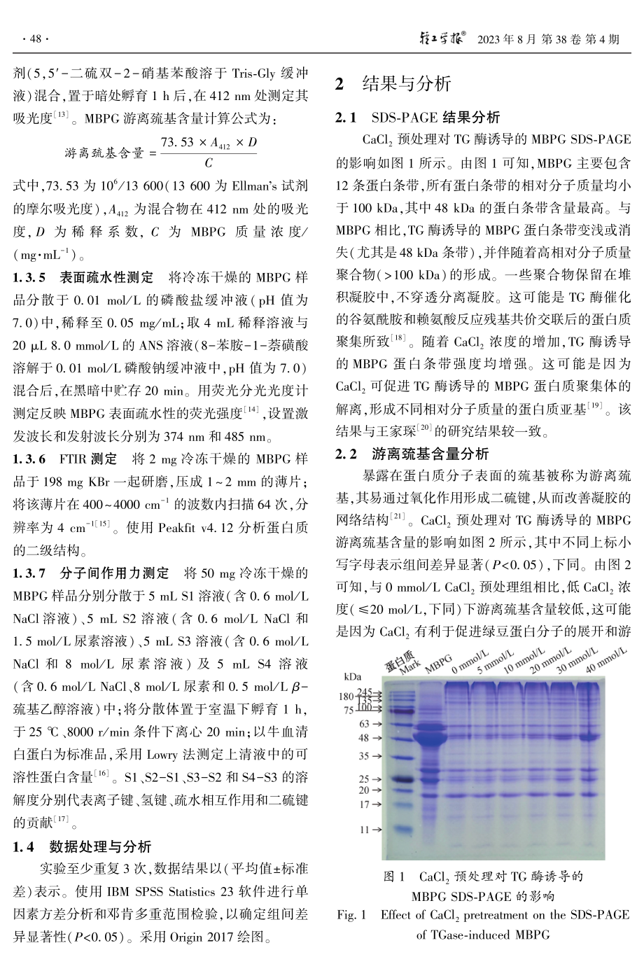 CaCl_%282%29预处理对TG酶诱导的绿豆蛋白凝胶结构特征的影响.pdf_第3页