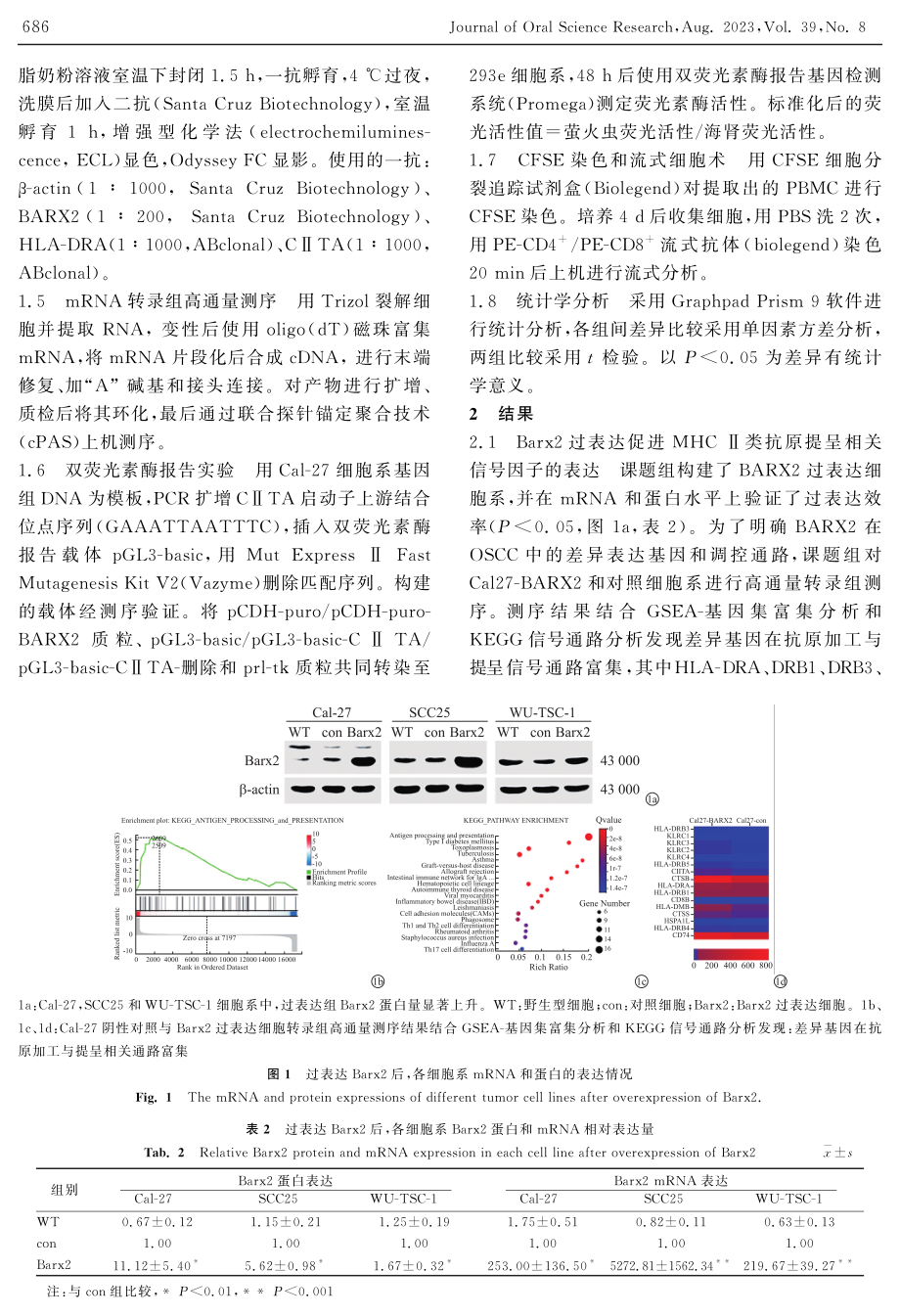 Barx2驱动口腔鳞状细胞癌肿瘤特异性MHC-Ⅱ类信号诱导CD4%5E%28 %29T_CD8%5E%28 %29T细胞活化.pdf_第3页