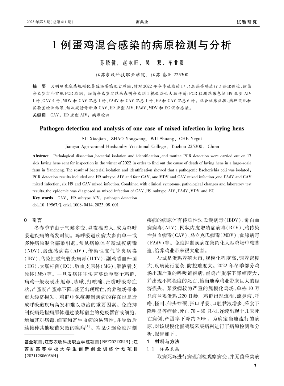 1例蛋鸡混合感染的病原检测与分析.pdf_第1页