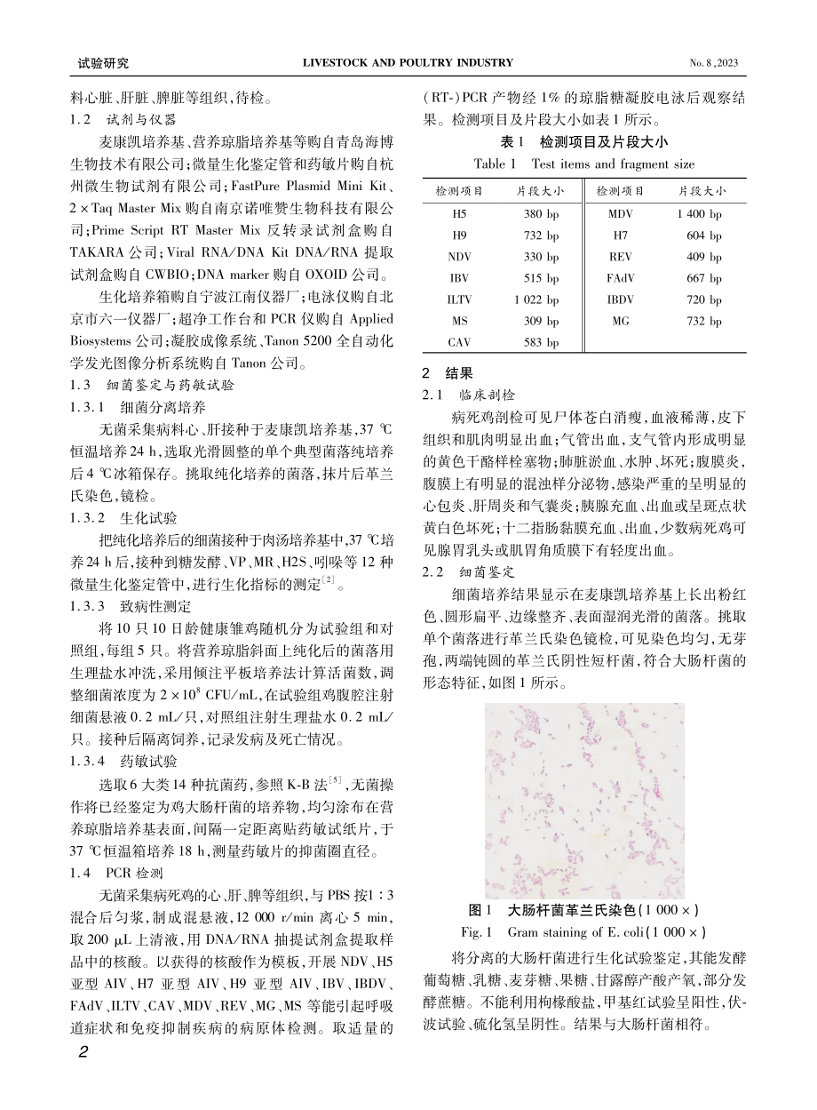 1例蛋鸡混合感染的病原检测与分析.pdf_第2页