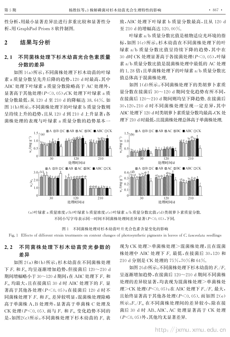 3株解磷菌对杉木幼苗光合生理特性的影响.pdf_第3页