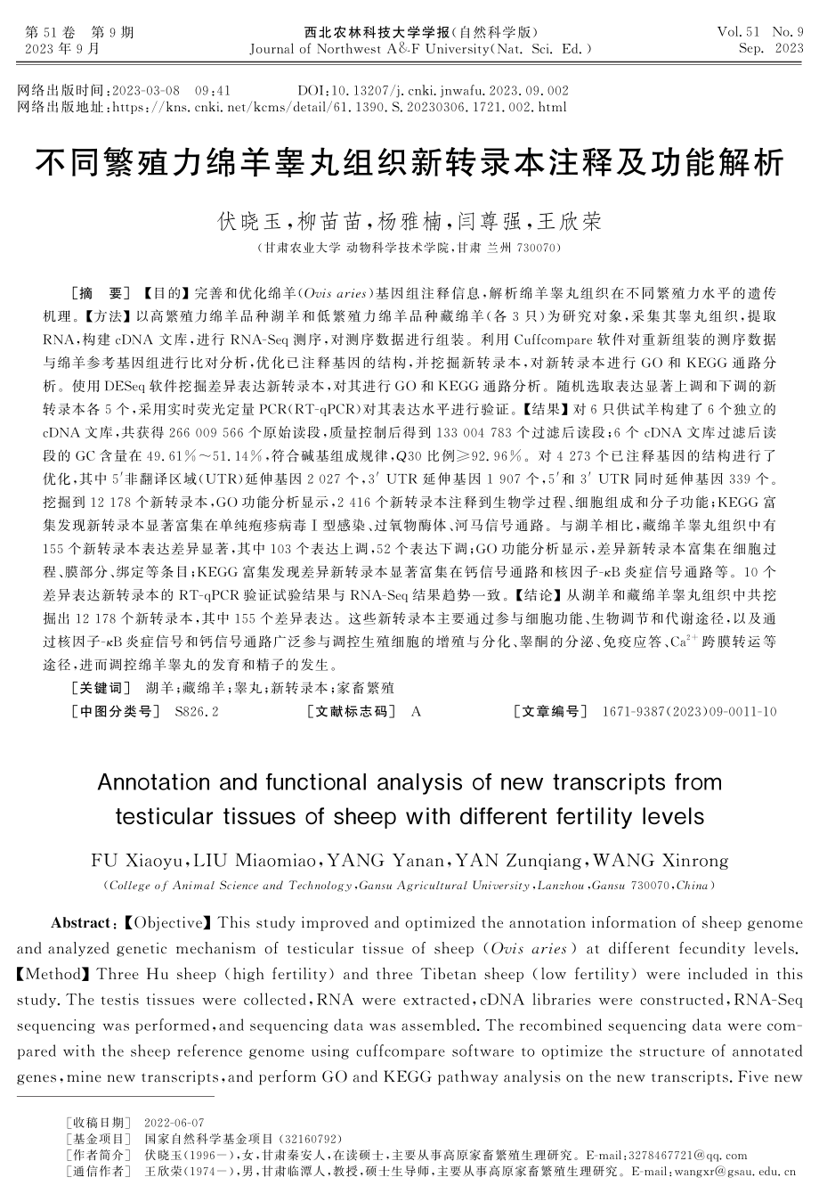 不同繁殖力绵羊睾丸组织新转录本注释及功能解析.pdf_第1页