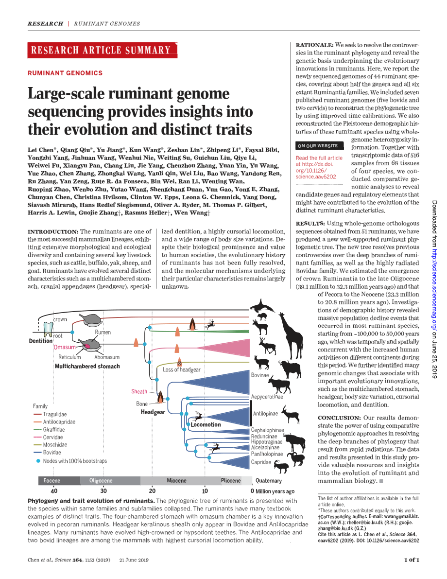 Large-scale ruminant genome sequencing provides insights into their evolution and distinct traits.pdf_第1页