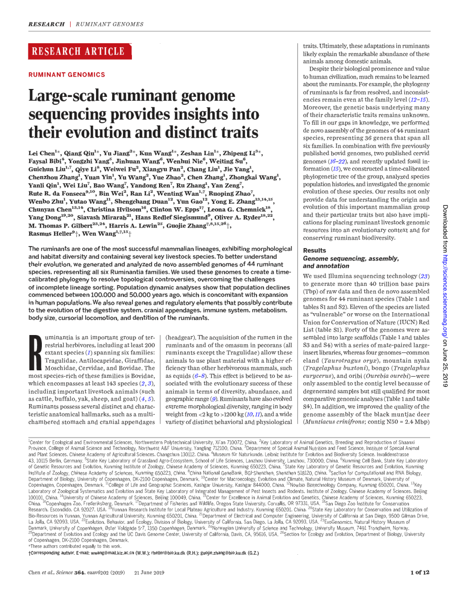 Large-scale ruminant genome sequencing provides insights into their evolution and distinct traits.pdf_第2页