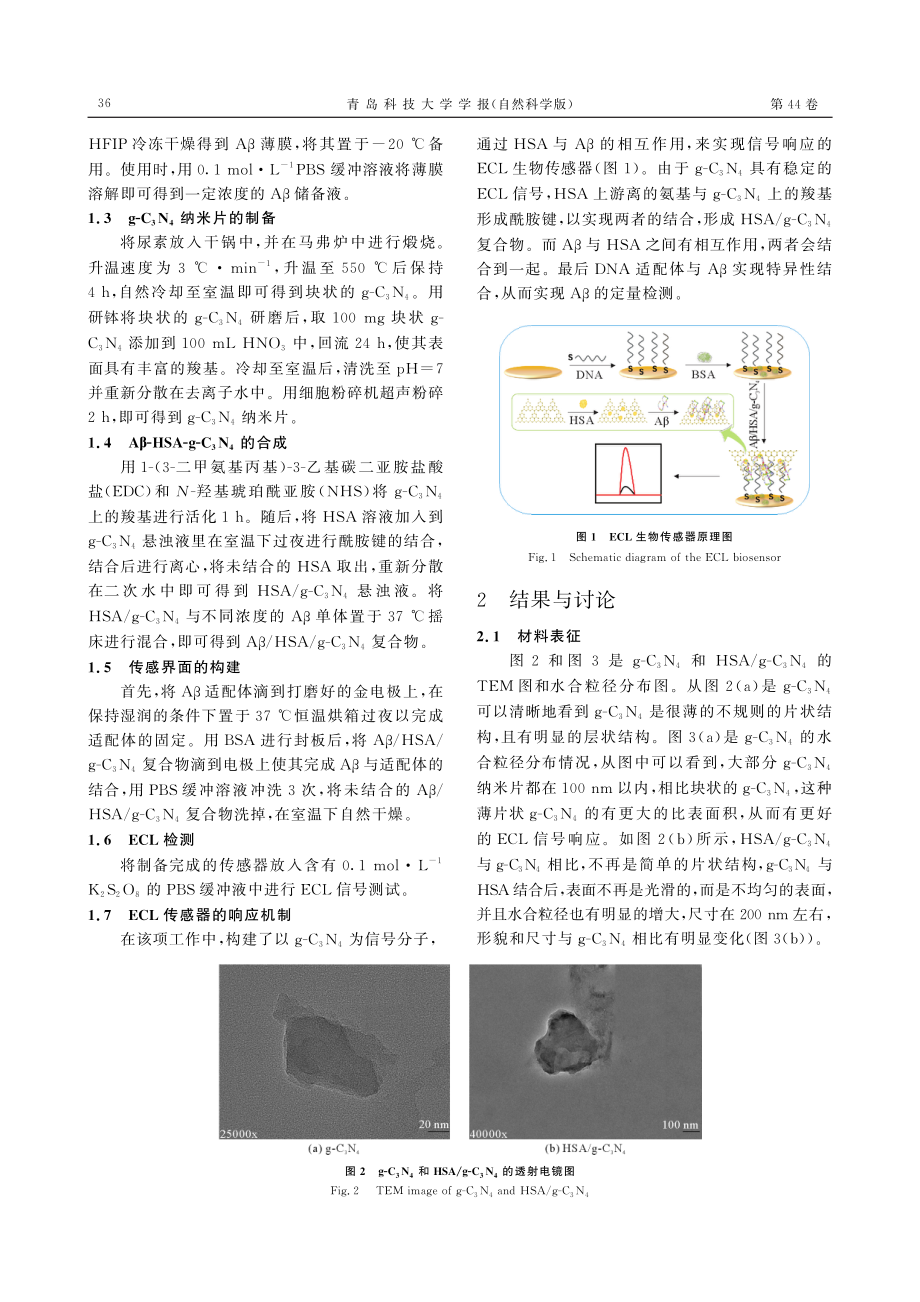 HSA_g-C_%283%29N_%284%29作为电致化学发光探针检测β-淀粉样蛋白.pdf_第3页