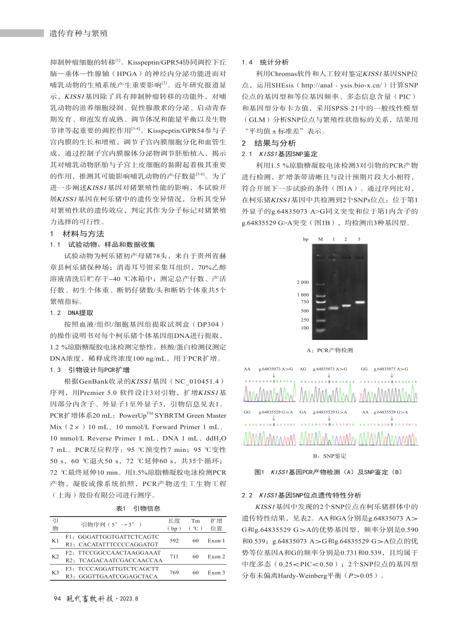 KISS1基因SNP对柯乐猪繁殖性状的影响.pdf_第2页