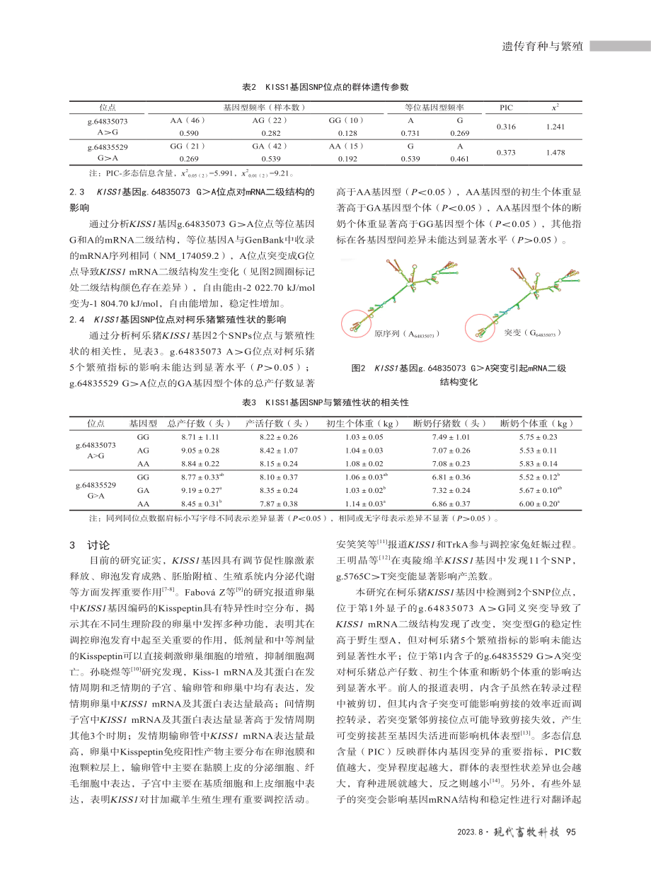 KISS1基因SNP对柯乐猪繁殖性状的影响.pdf_第3页