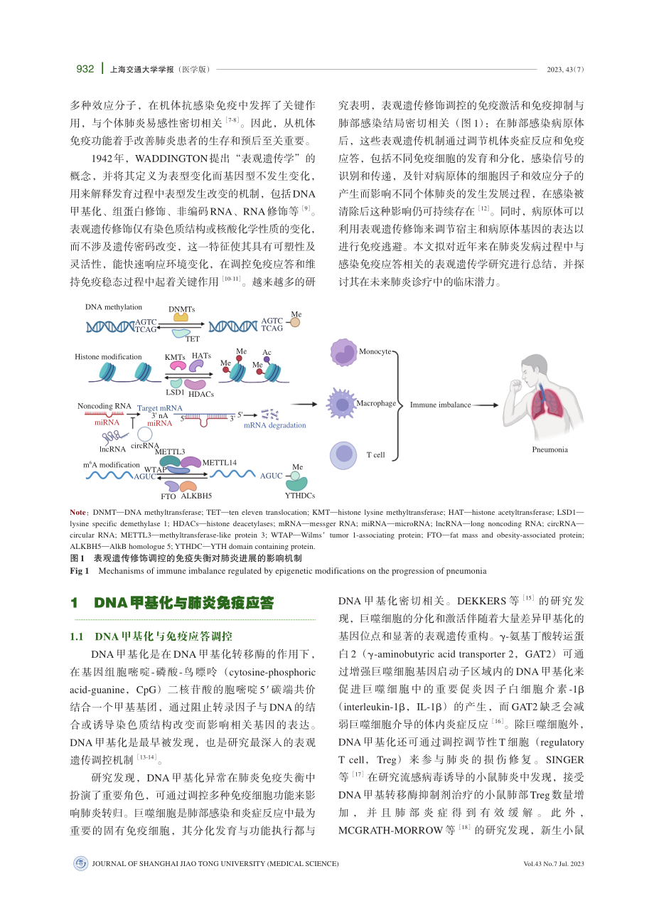 表观遗传修饰调控肺炎免疫应答的研究进展.pdf_第2页