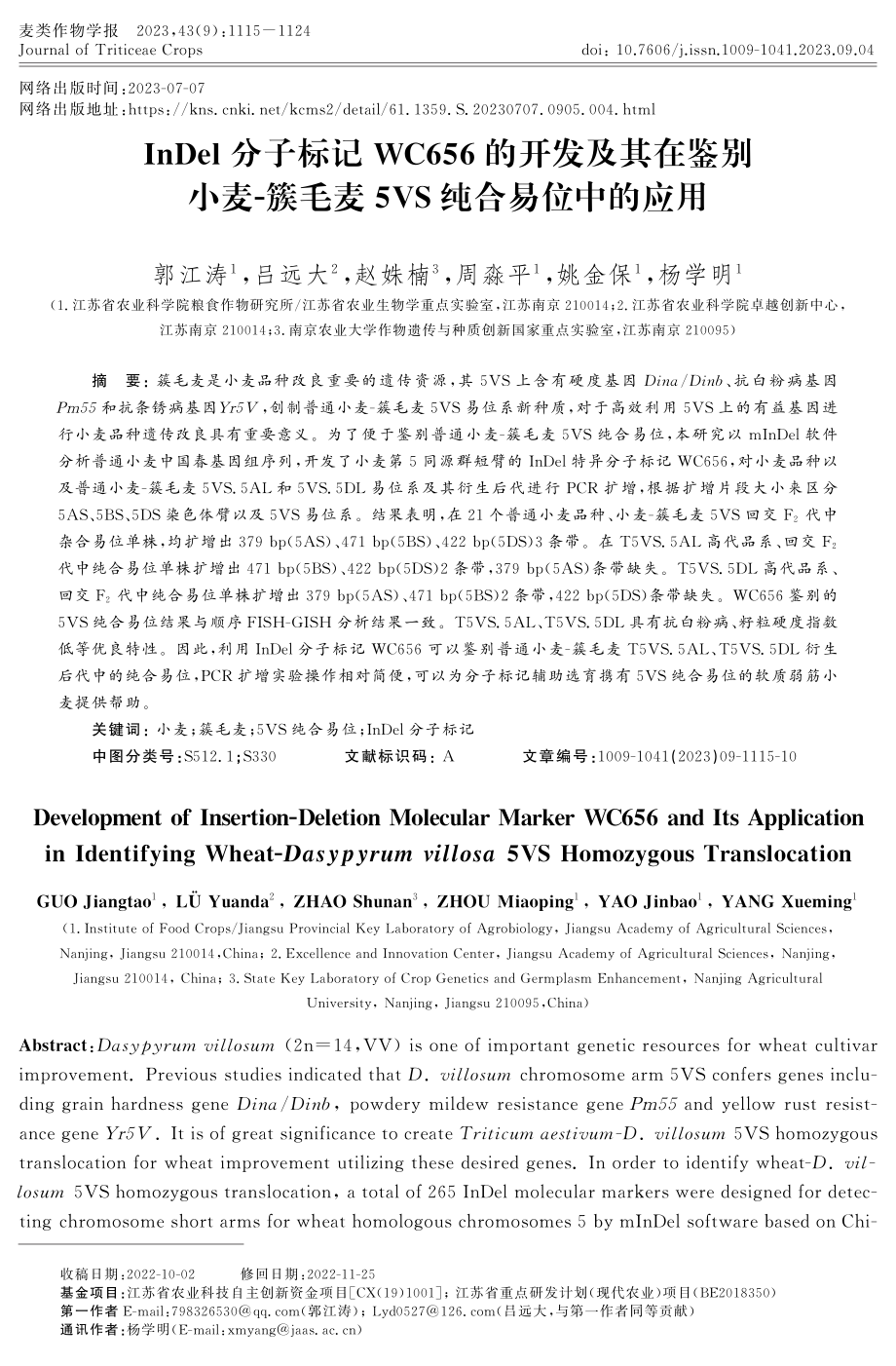 InDel分子标记WC656的开发及其在鉴别小麦-簇毛麦5VS纯合易位中的应用.pdf_第1页