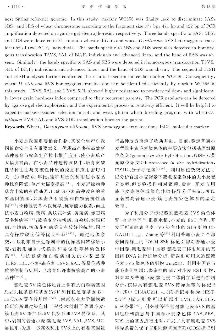 InDel分子标记WC656的开发及其在鉴别小麦-簇毛麦5VS纯合易位中的应用.pdf_第2页