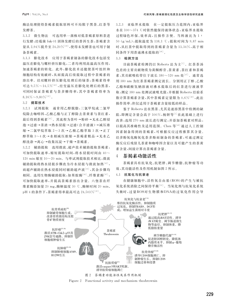 茶褐素理化性质及生物学活性研究进展.pdf_第3页