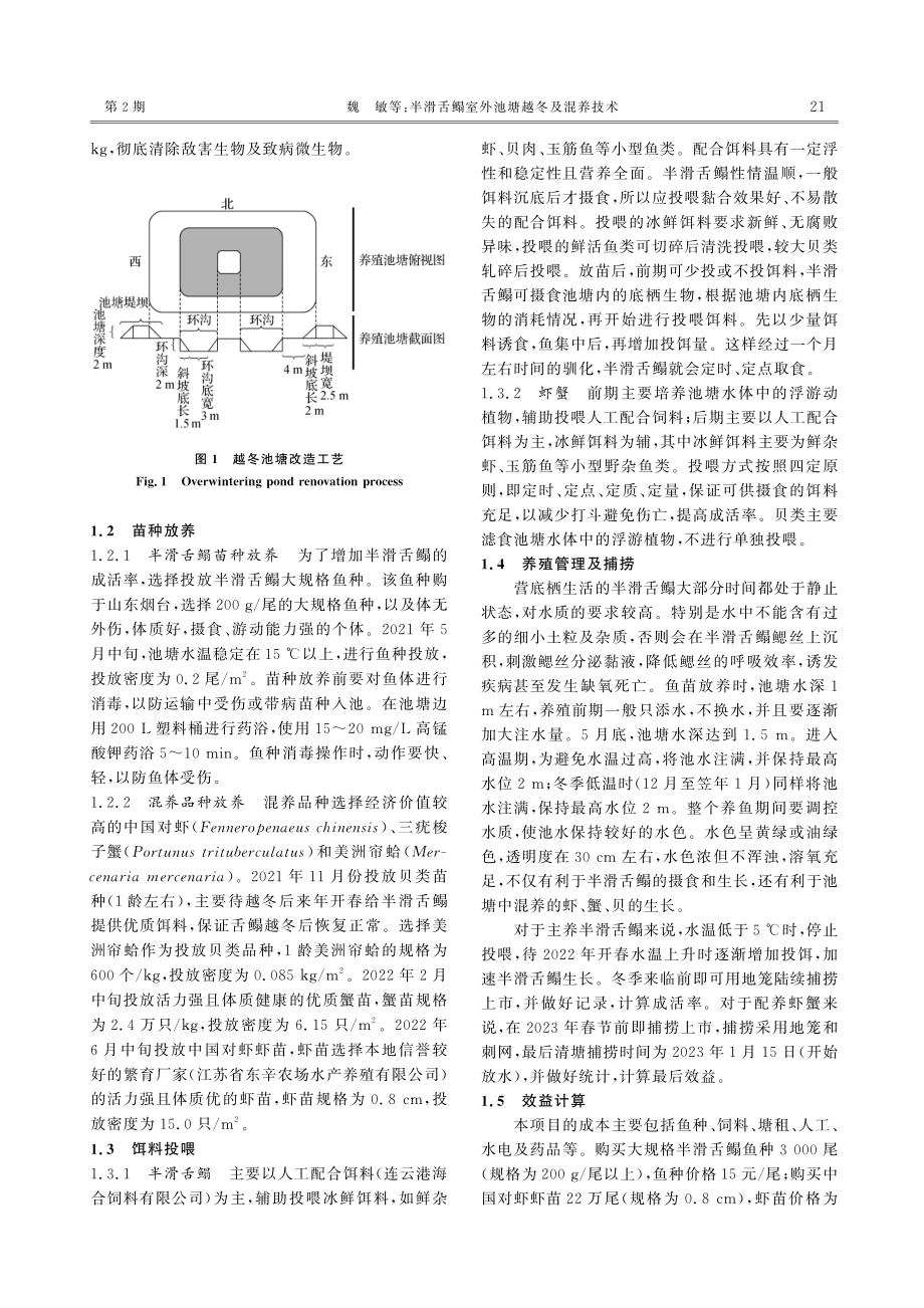 半滑舌鳎室外池塘越冬及混养技术.pdf_第3页