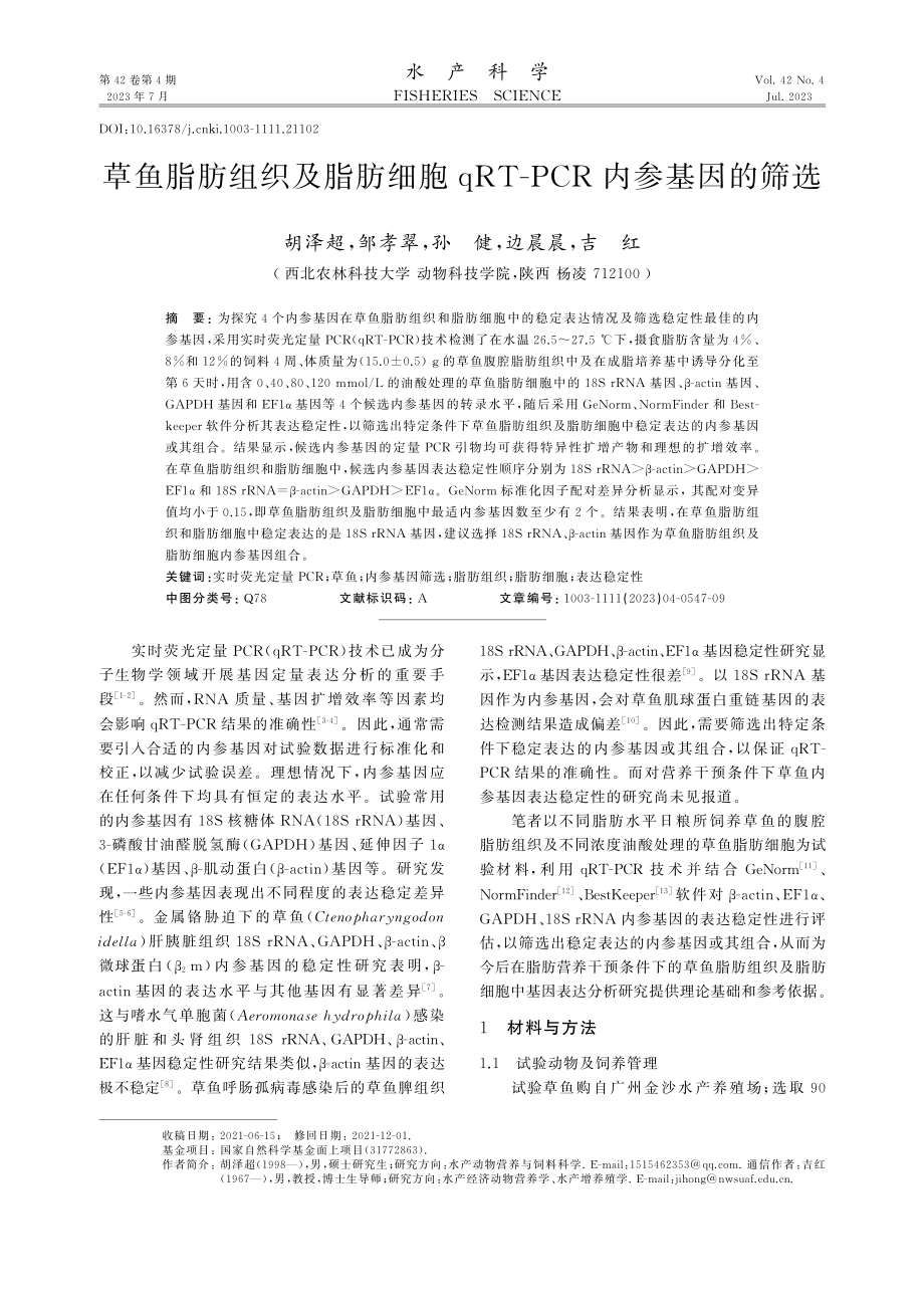 草鱼脂肪组织及脂肪细胞qRT-PCR内参基因的筛选.pdf_第1页