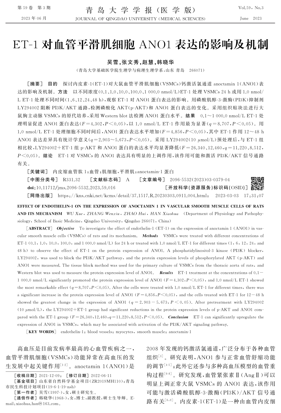 ET-1对血管平滑肌细胞ANO1表达的影响及机制.pdf_第1页