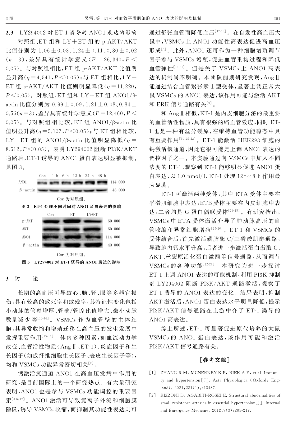 ET-1对血管平滑肌细胞ANO1表达的影响及机制.pdf_第3页