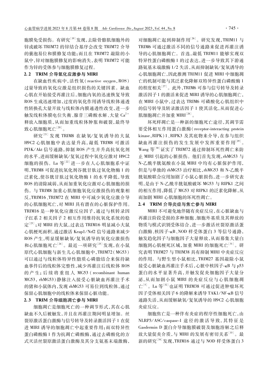 TRIM蛋白家族在心肌缺血再灌注损伤中的研究进展.pdf_第3页