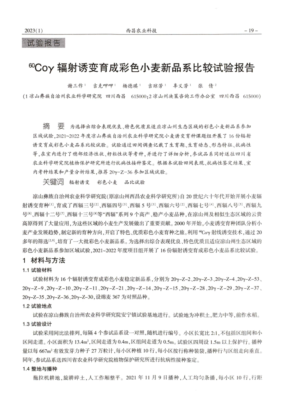 ^(60)Coγ辐射诱变育成彩色小麦新品系比较试验报告.pdf_第1页