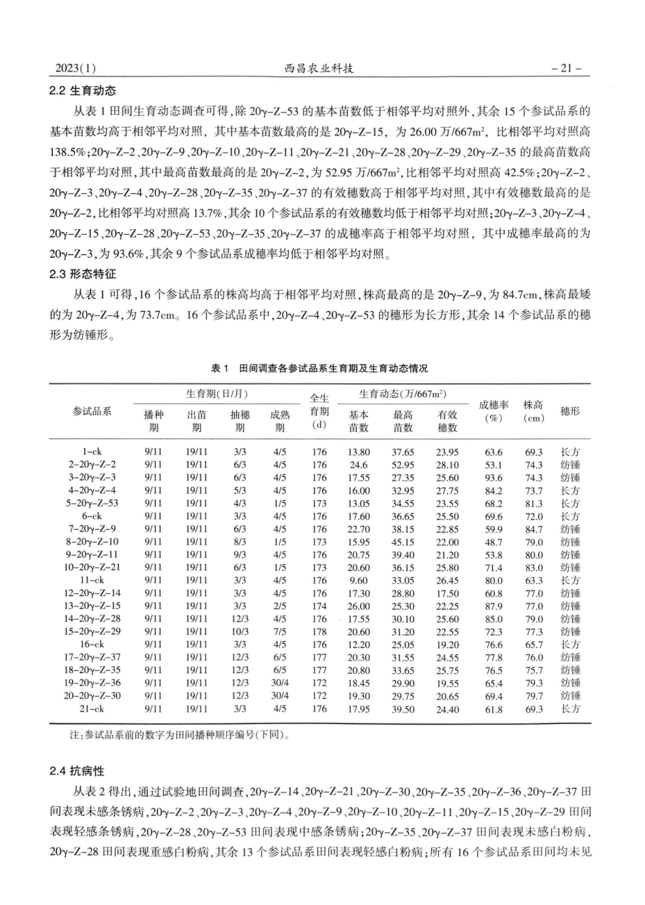 ^(60)Coγ辐射诱变育成彩色小麦新品系比较试验报告.pdf_第3页