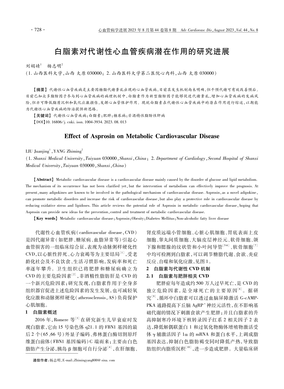 白脂素对代谢性心血管疾病潜在作用的研究进展.pdf_第1页