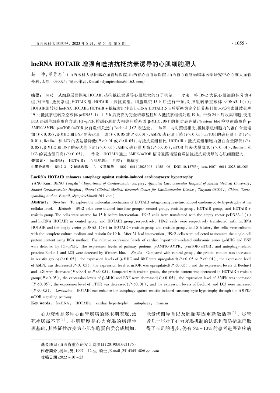 lncRNA HOTAIR增强自噬拮抗抵抗素诱导的心肌细胞肥大.pdf_第1页