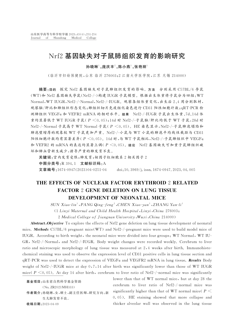 Nrf2基因缺失对子鼠肺组织发育的影响研究.pdf_第1页