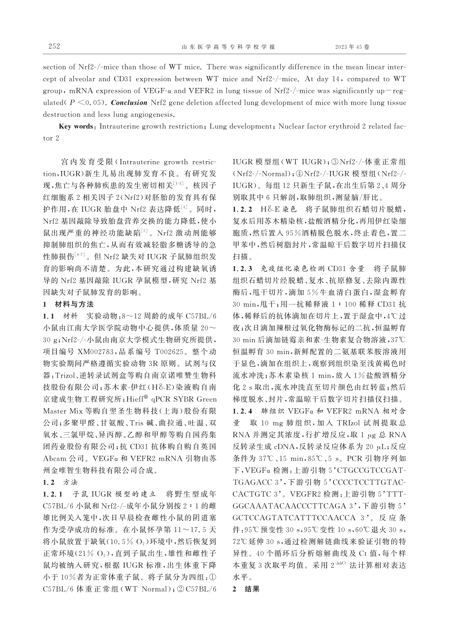 Nrf2基因缺失对子鼠肺组织发育的影响研究.pdf_第2页