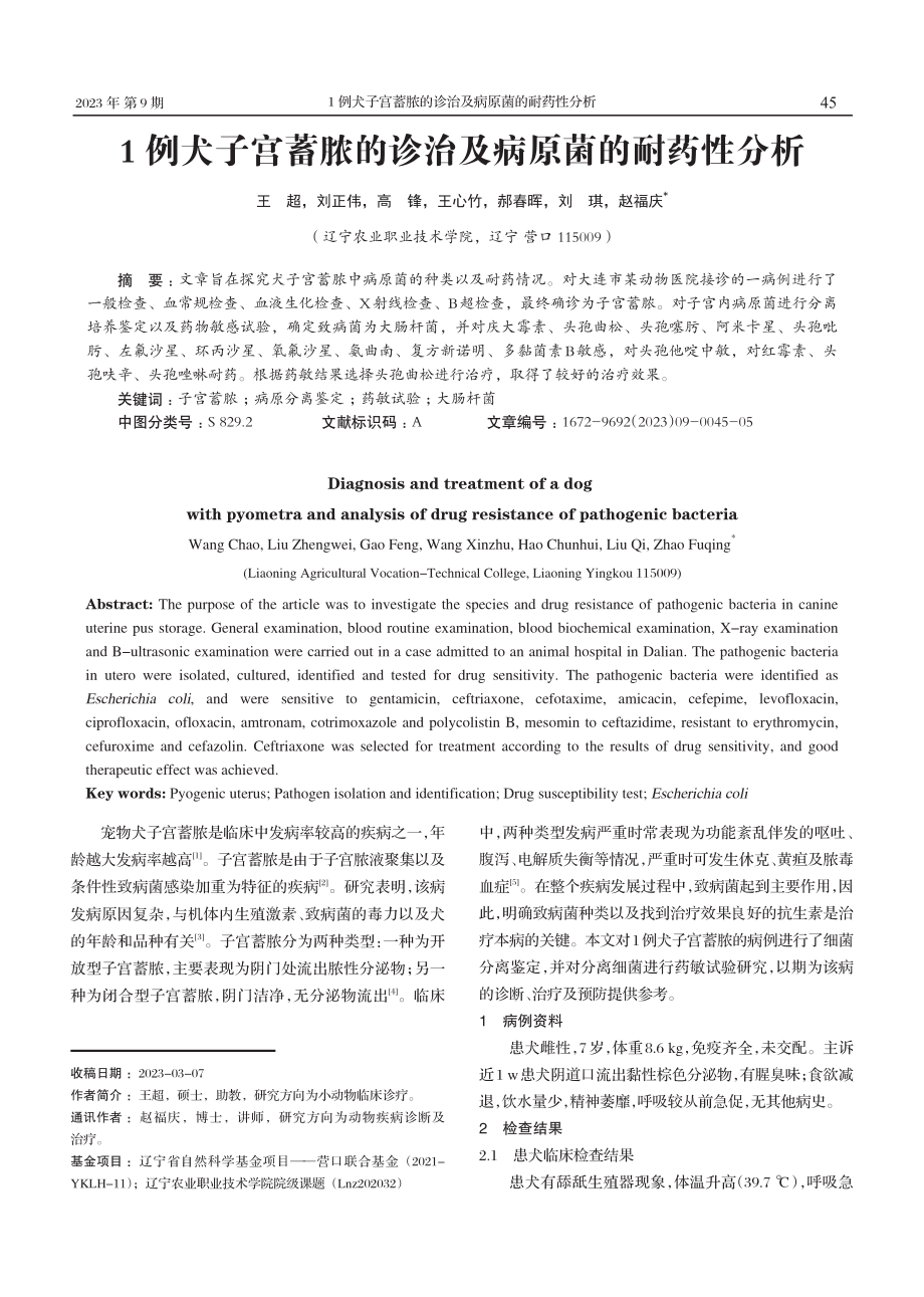 1例犬子宫蓄脓的诊治及病原菌的耐药性分析.pdf_第1页