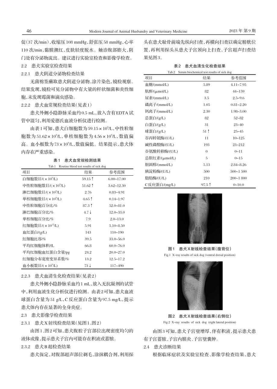 1例犬子宫蓄脓的诊治及病原菌的耐药性分析.pdf_第2页