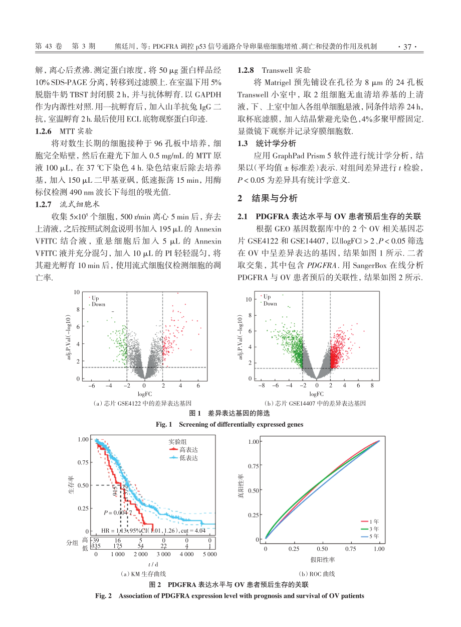 PDGFRA调控p53信号通路介导卵巢癌细胞增殖、凋亡和侵袭的作用及机制.pdf_第3页